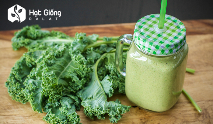 hat-giong-cai-xoan-kale-
