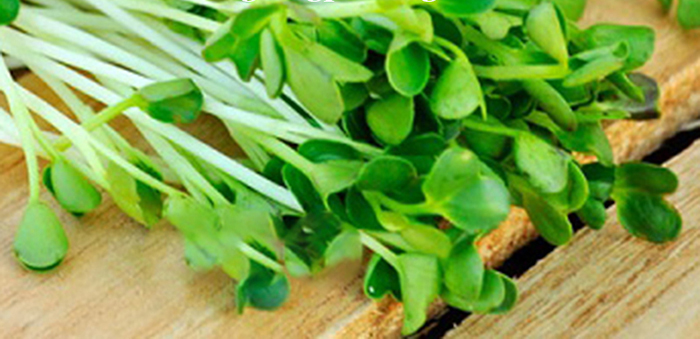 hat-giong-rau-mam-cai-ngot